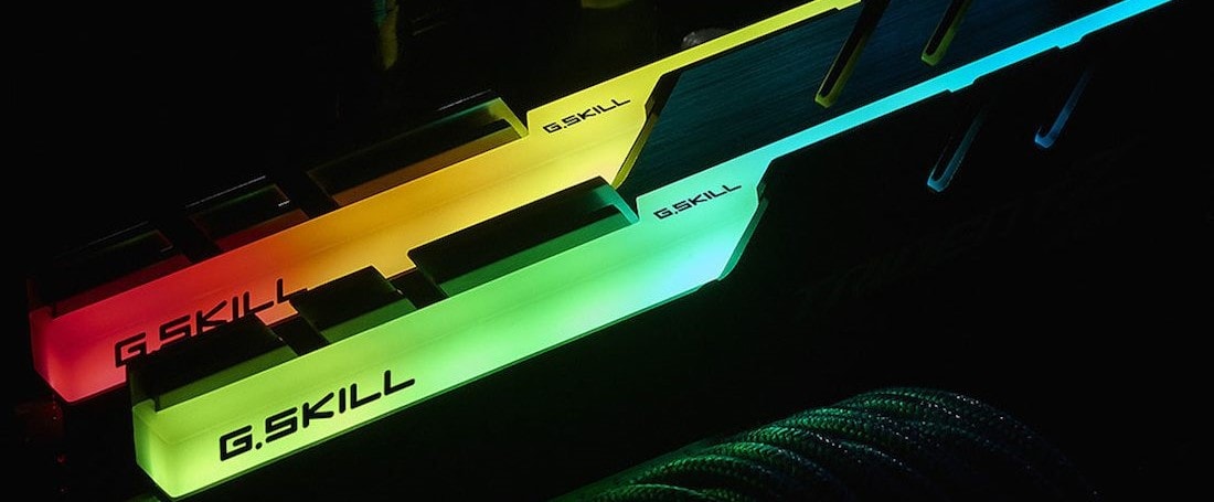 two rgb g skill ram sticks mounted