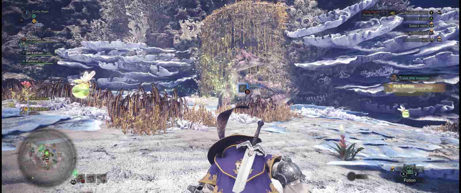 Monster Hunter World Pink Rathian location