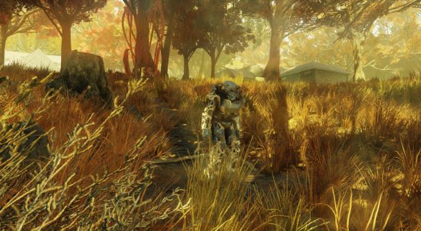 fallout 76 Dolly Sods wilderness