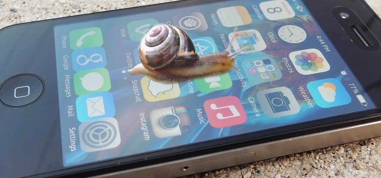 snail on an iphone