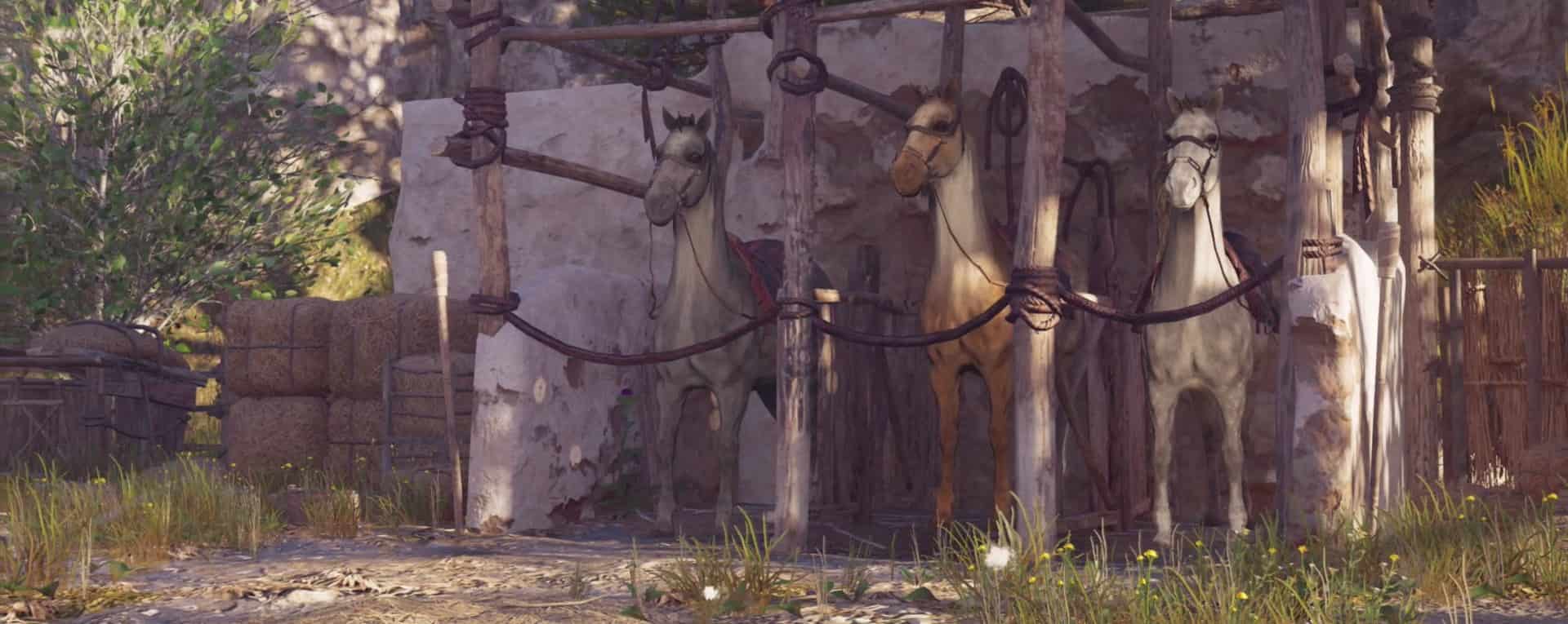 Don’t Bother Looking a Gift Horse in the Mouth assassins creed odyssey