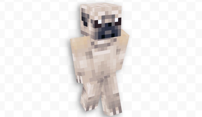 cute pug minecraft skin