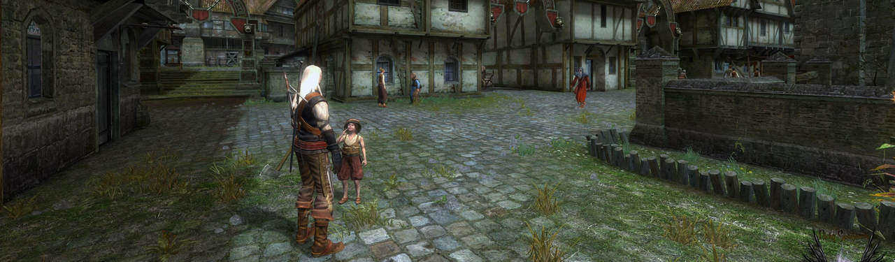 A Scene in The Witcher 1 Part 62