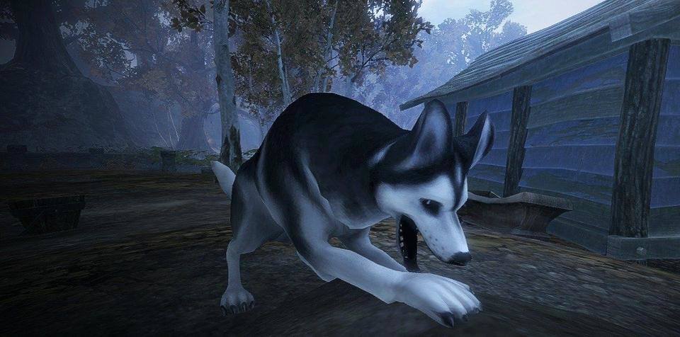 Fable III Dog Companion