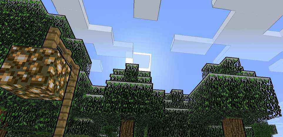 Naelegos Cel Shader on a Minecraft Creation