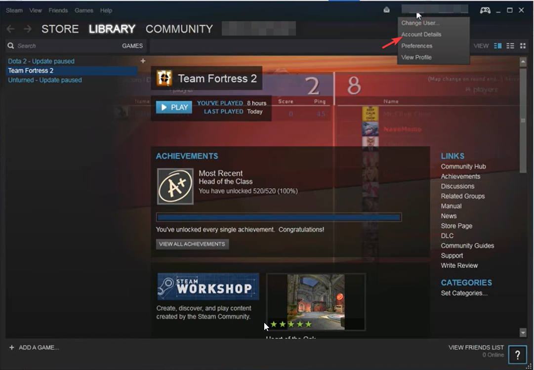 Steam Library Account Details