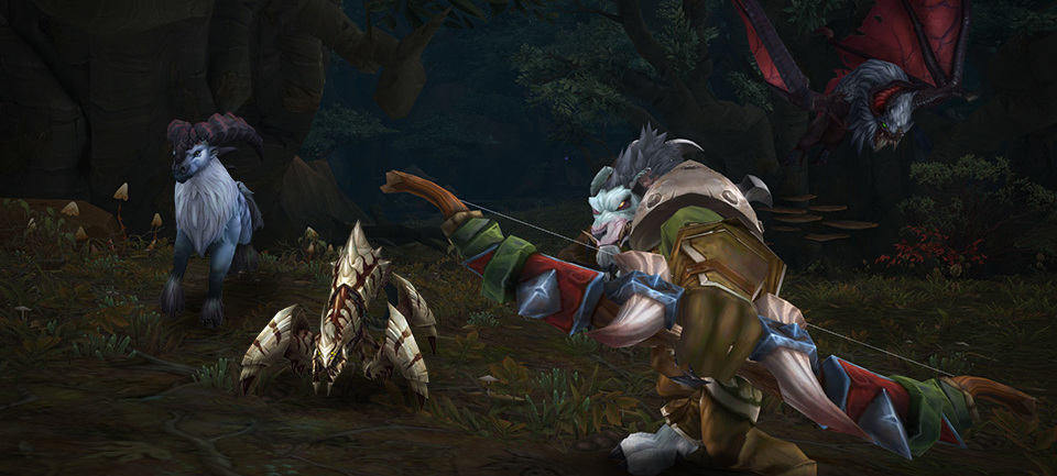 Hunter Class on World of Warcraft