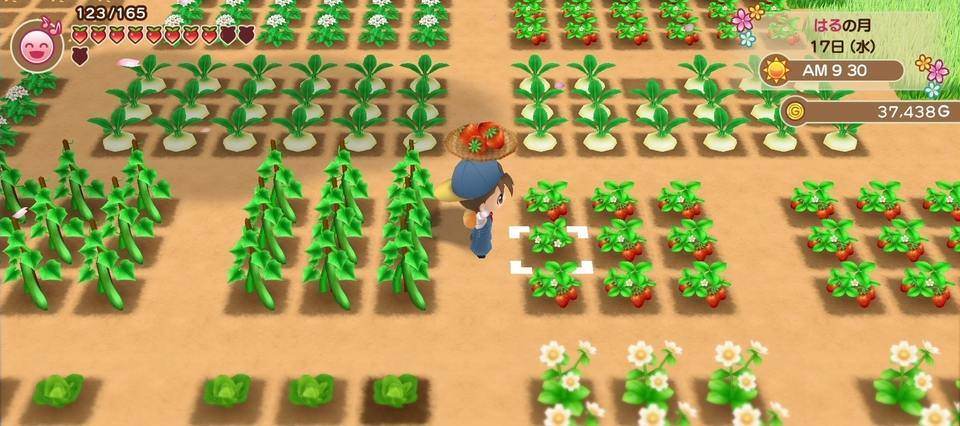 Harvest Moon Friends of Mineral Town Screenshot