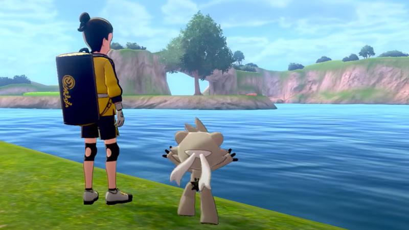 Pokemon Sword and Shield Expansion Pass Video Game